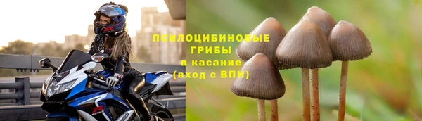 MDMA Краснослободск