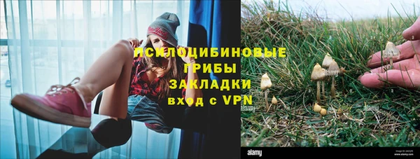 МДПВ Коряжма