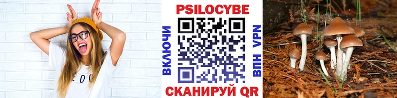 ссылка на мегу ссылки Новочеркасск Псилоцибиновые грибы Magic Shrooms где купить наркоту