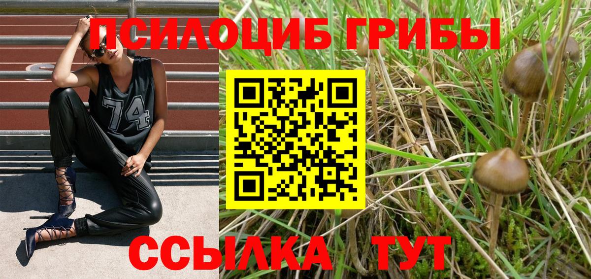 Псилоцибиновые грибы MAGIC MUSHROOMS Новочеркасск