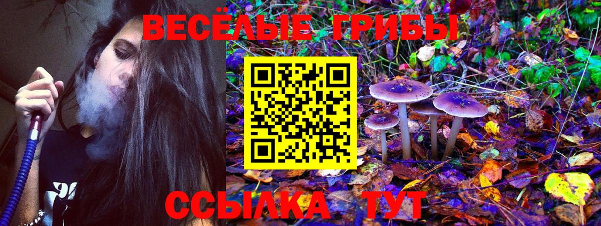 Галлюциногенные грибы Psilocybine cubensis  где можно купить   Вход с VPN  Новочеркасск  Псилоцибиновые грибы MAGIC MUSHROOMS 
